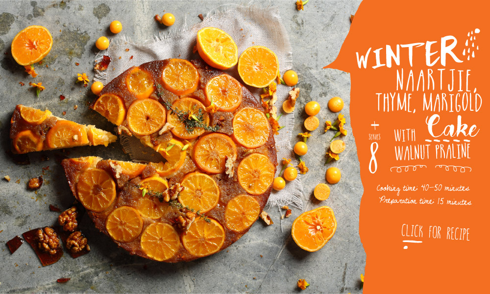 Eating With Your Eyes – A Feast of Colour