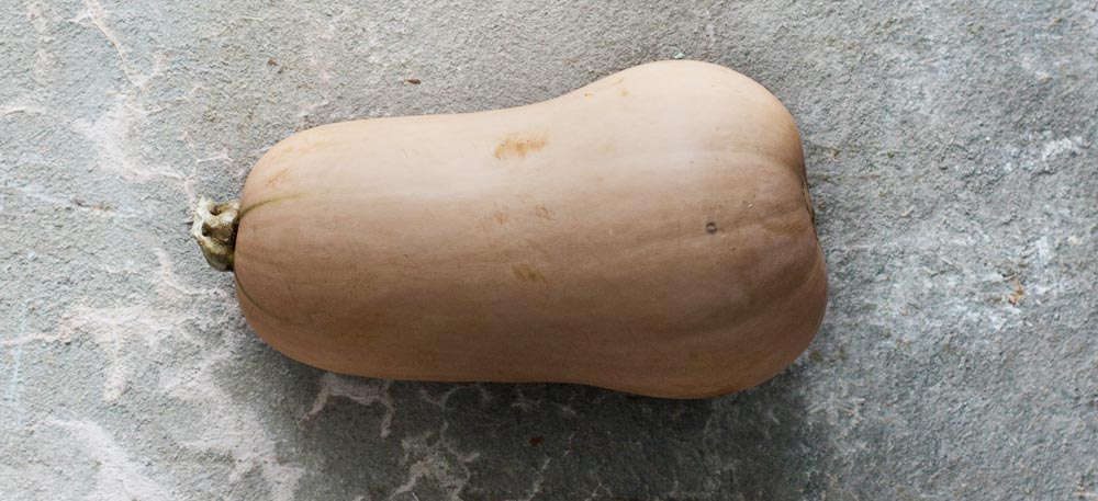 Butternut