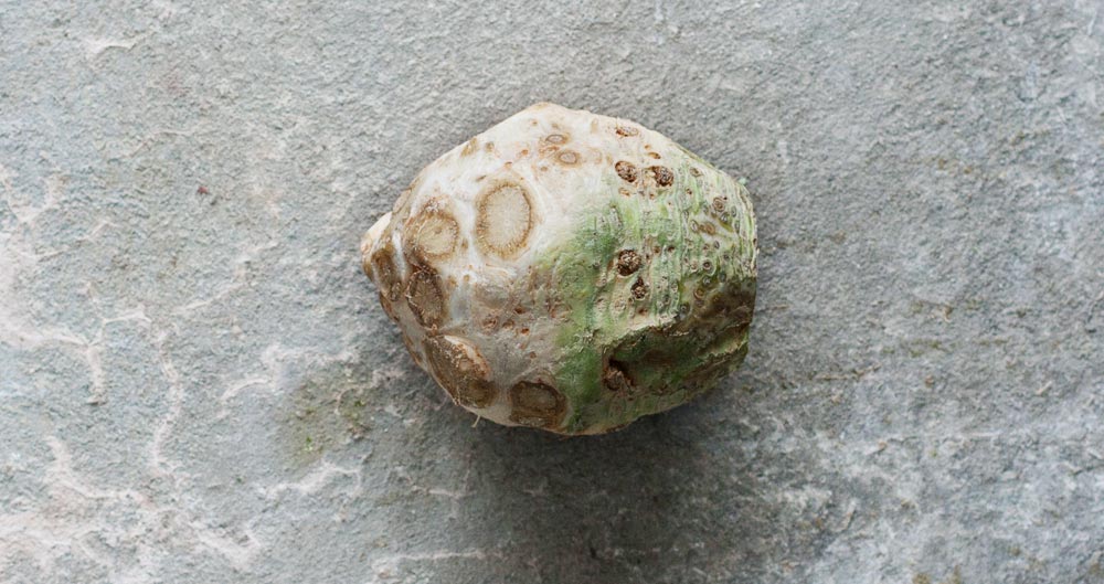 Celeriac