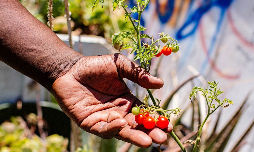 Gangsta Gardening Ron Finley