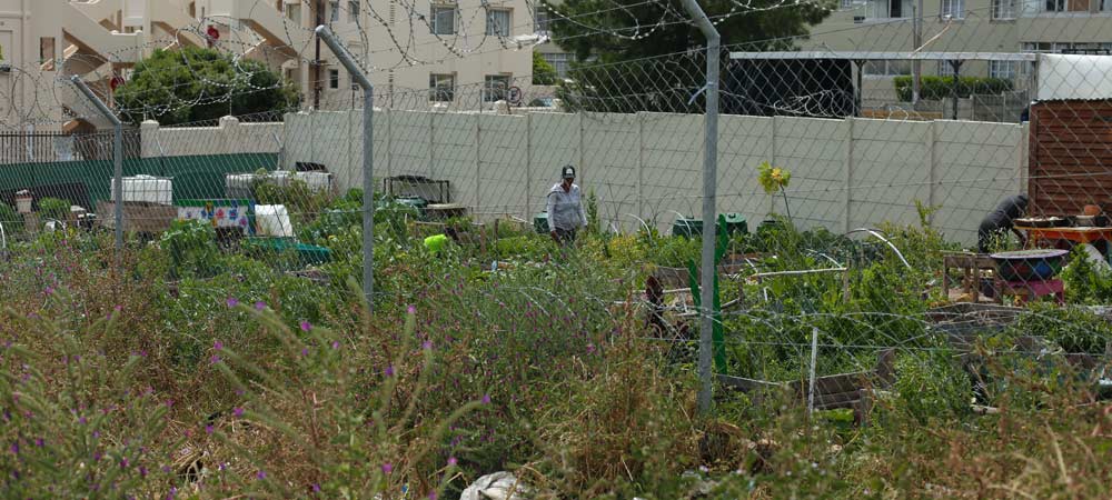 StreetScapes Garden