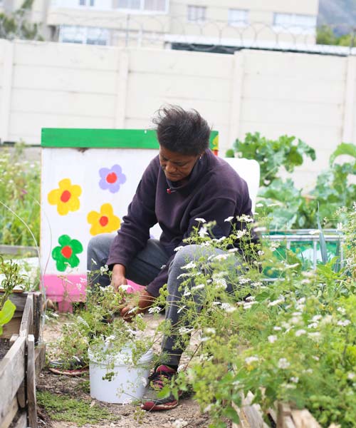 StreetScapes Garden
