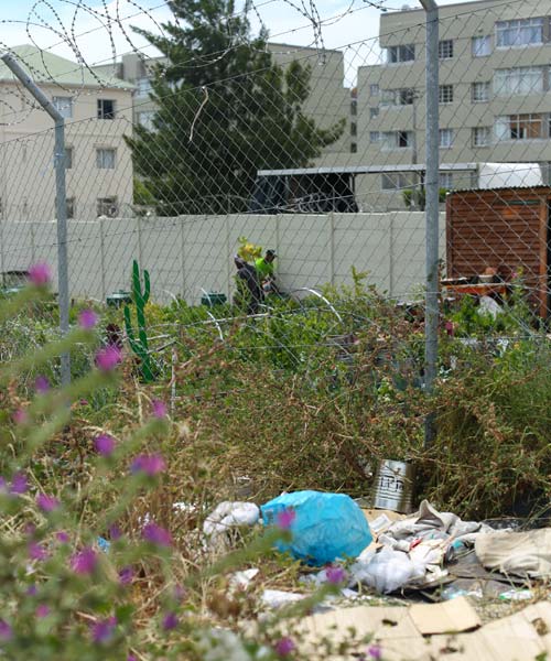 StreetScapes Garden