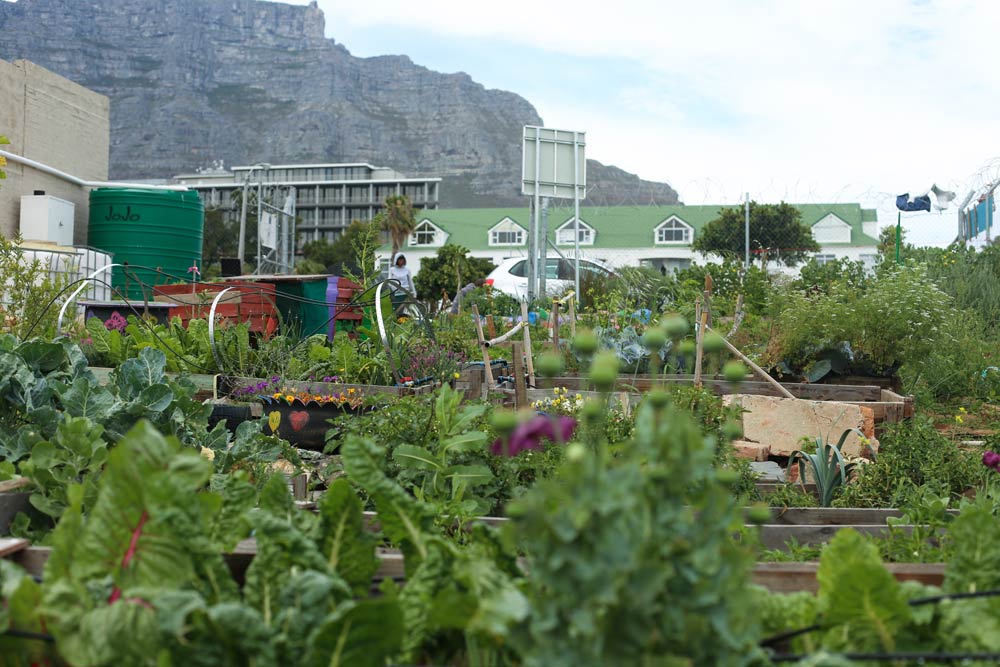 StreetScapes Garden