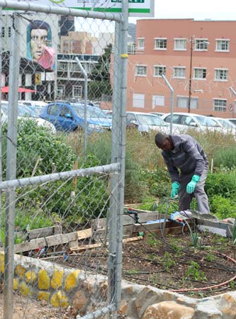StreetScapes Garden