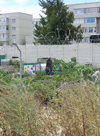 StreetScapes Garden