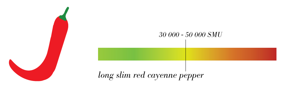 Types of Chillies