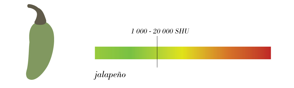 Types of Chillies
