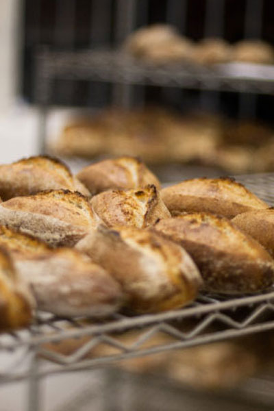 Bread Recipes Artisan Wheat bread