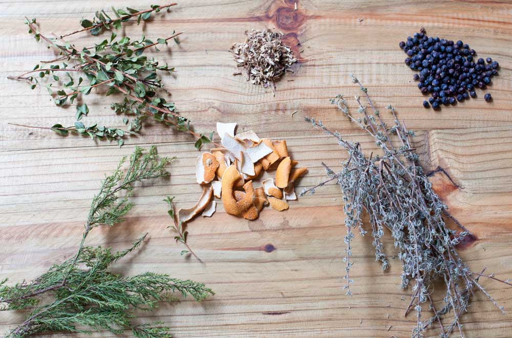 Everything You Need To Know About Gin