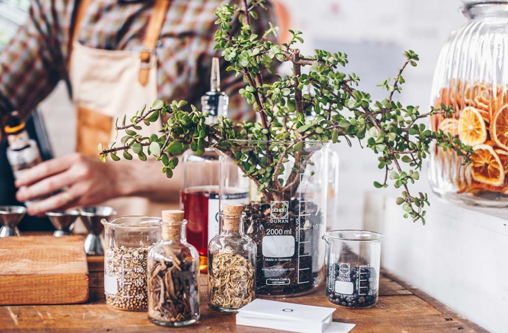 The Gin and Tonic Festival south africa