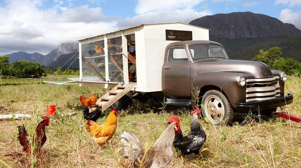 Avondale Egg Mobile