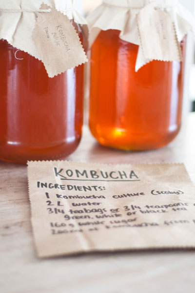 homemade rooibos kombucha recipe