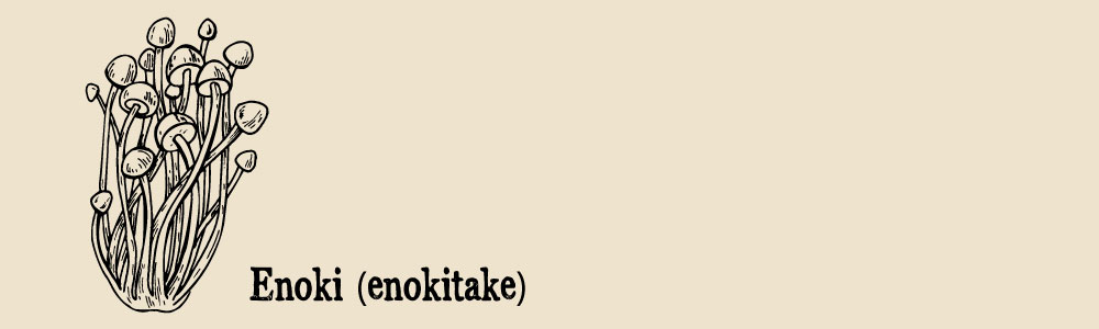 enoki a guide to edible mushrooms