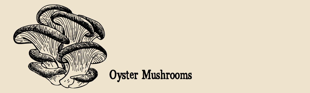 a guide to edible mushrooms