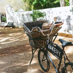 Boschendal Farm Experience