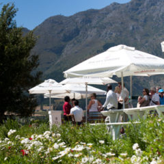 Haute-Cabriere-3x3