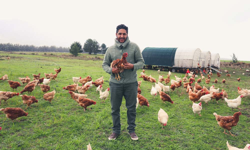 Heritage Day Farm Feast