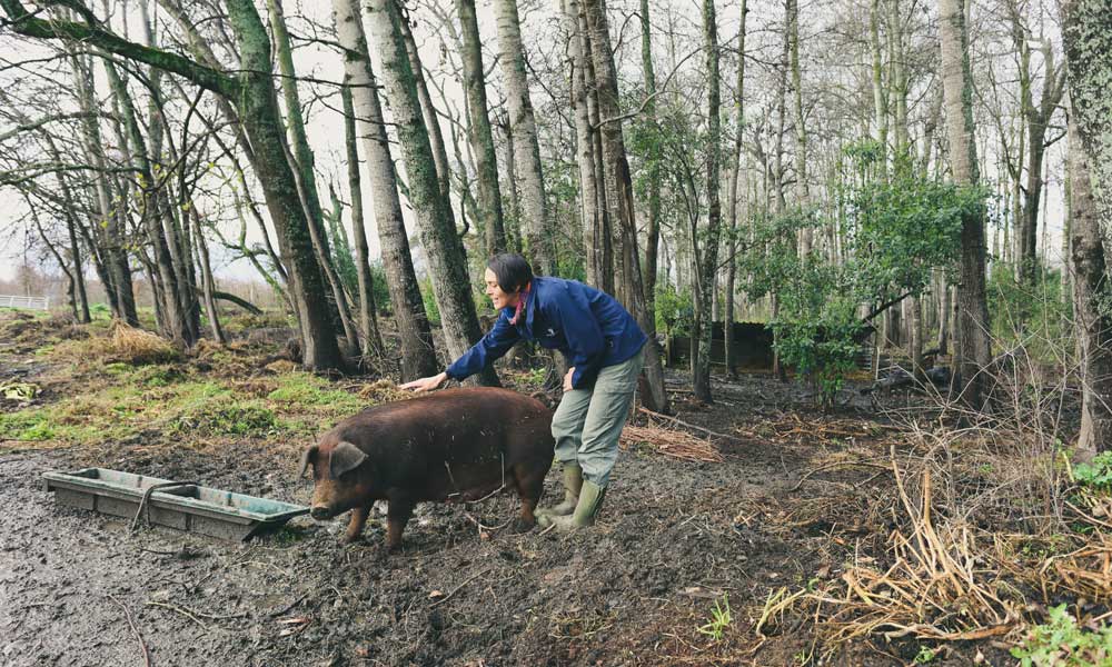 Heritage Day Farm Feast