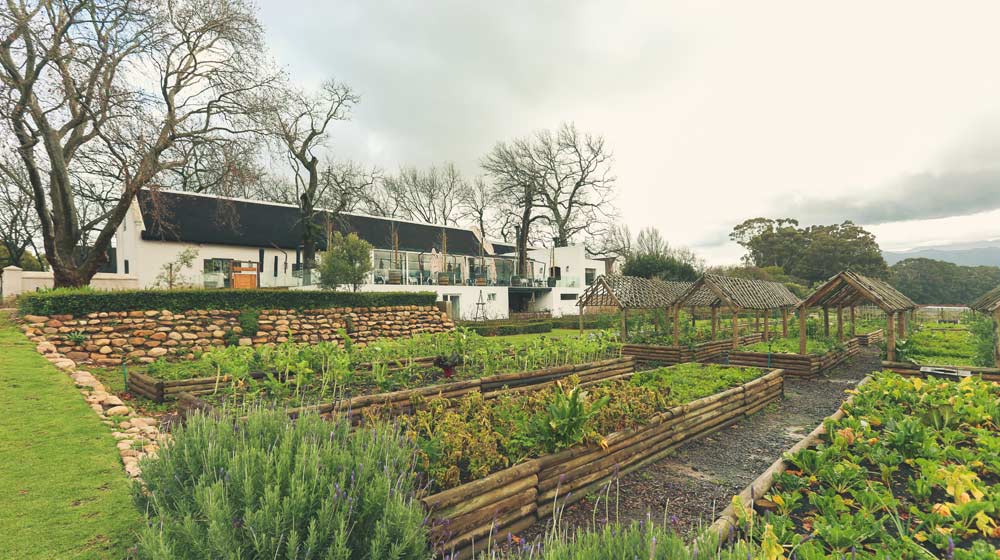 Heritage Day Farm Feast