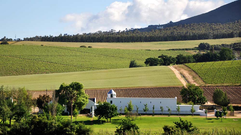 Corlea-Fourie---Bosman-Wines-1x5