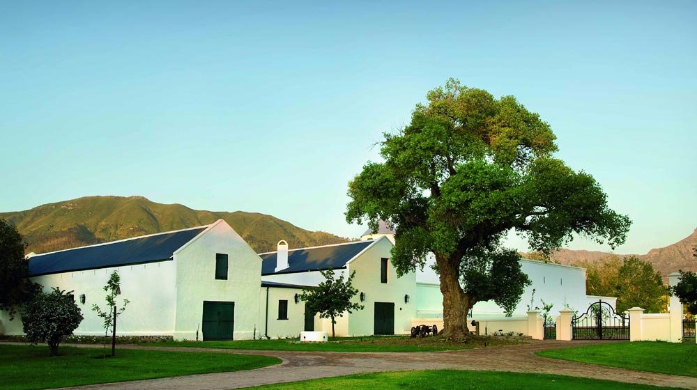 Corlea-Fourie---Bosman-Wines-1x5