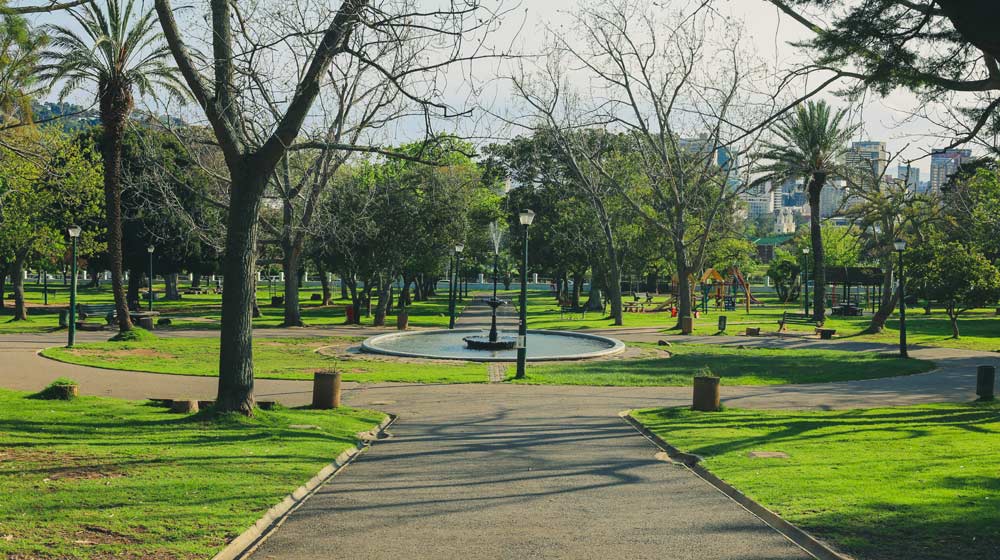 Parks in Cape Town 1x5