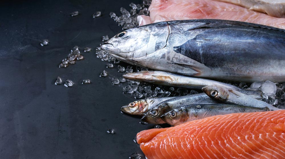 fish buying guide