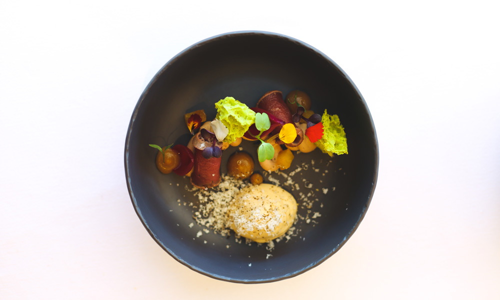 Le_Petit-Colombe-