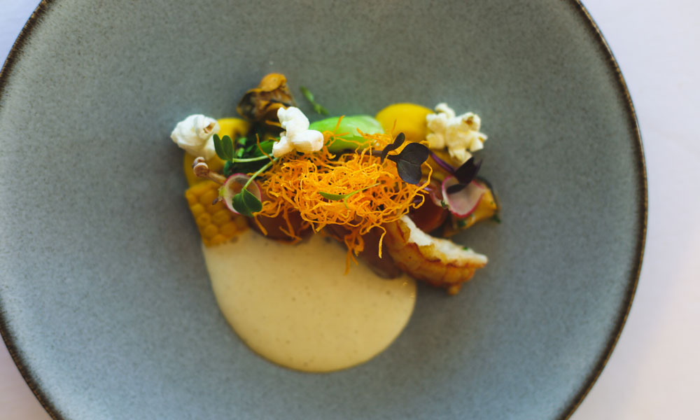 Le_Petit-Colombe-