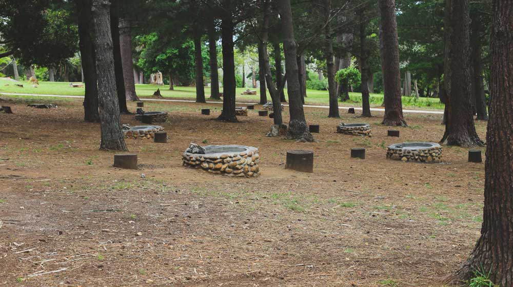 Wynberg-Park-braai spots in cape town