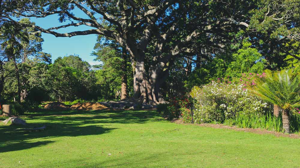 Parks in Cape Town 1x5