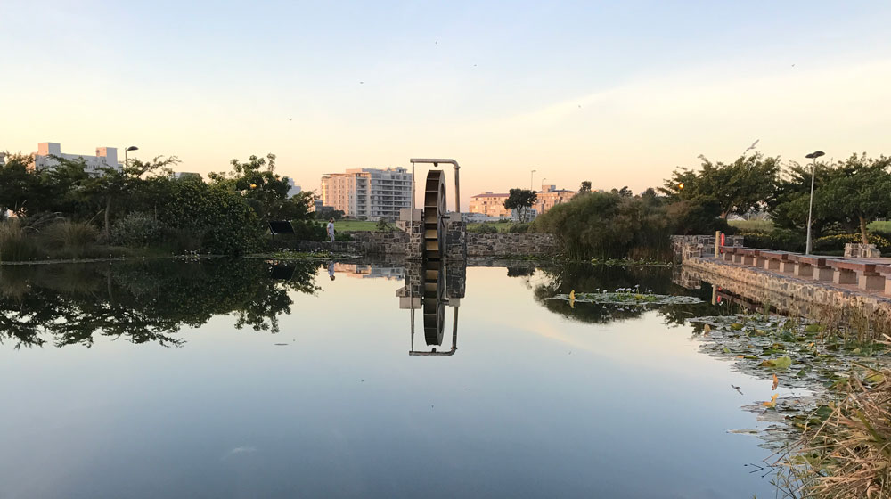 Parks in Cape Town 1x5
