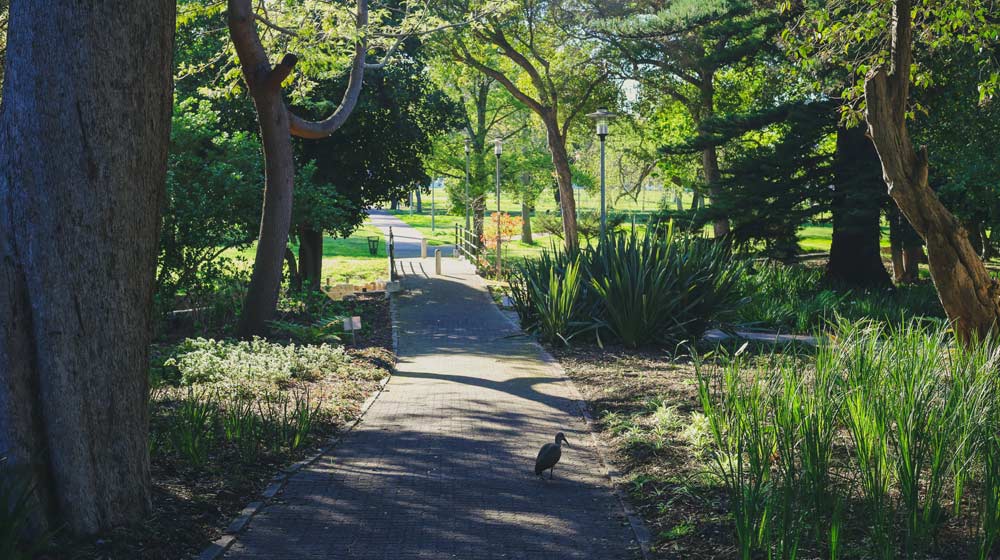 Parks in Cape Town 1x5