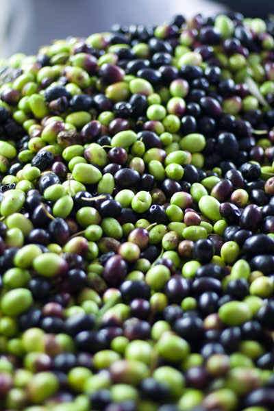 ABSA TOP 10 Olive Oils Delicate Category Rio Largo generic
