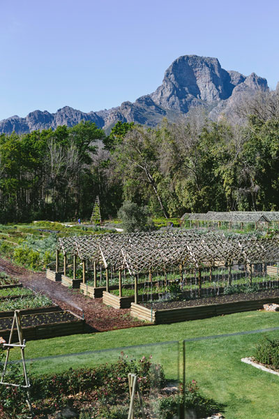 Farm To Table Cooking with Boschendal