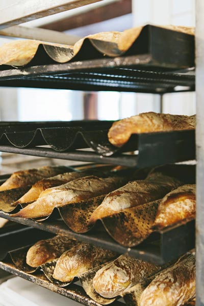 Farm To Table Cooking with Boschendal