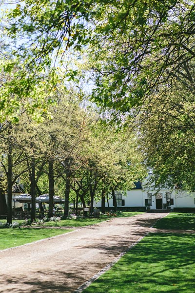 Farm To Table Cooking with Boschendal