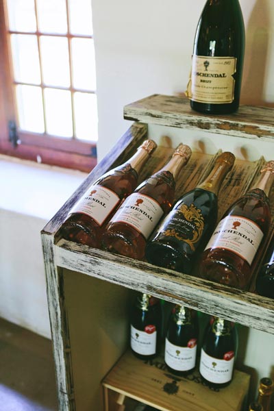 Farm To Table Cooking with Boschendal