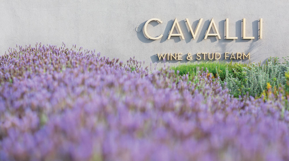 Foal Wines by Cavalli