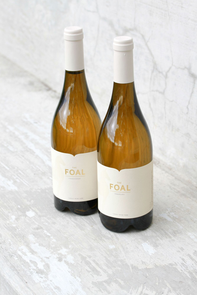 Foal Wines by Cavalli