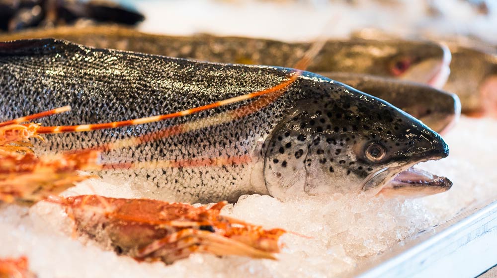 Firefish-Restaurant-Joe-Bar-1x5