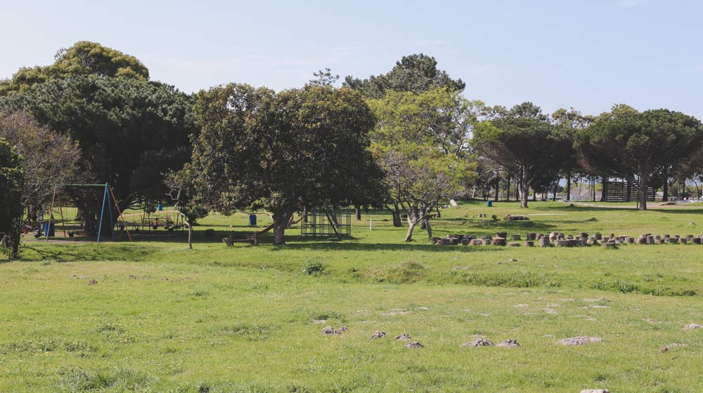 Keurboom-Park-Beautiful-Picnic-Spots-in-Cape-Town-1x5