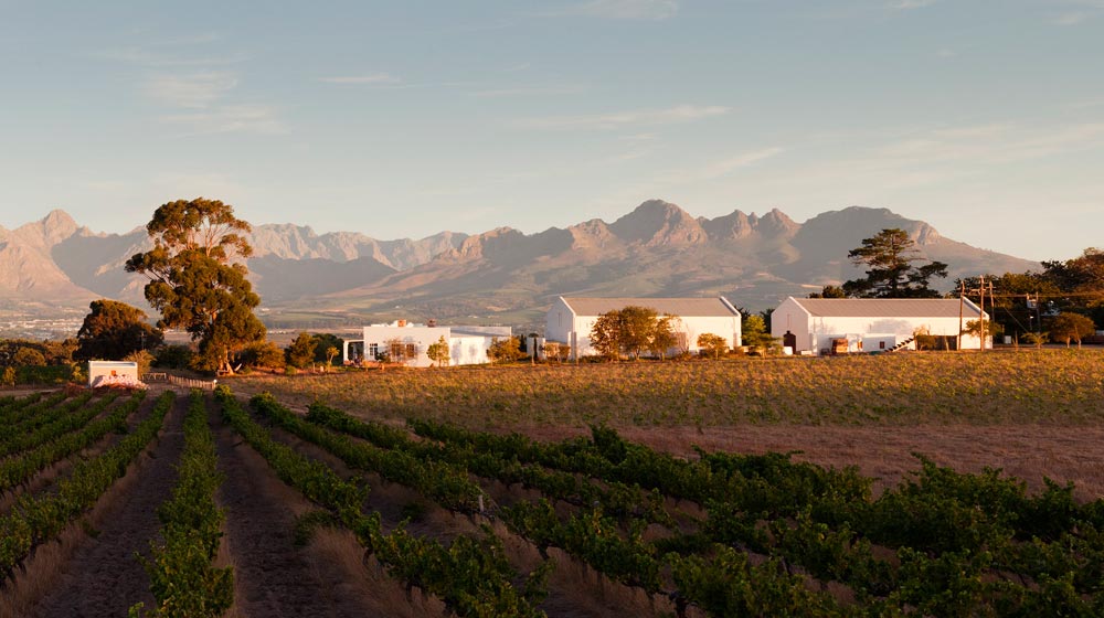 Reyneke Biodynamic Syrah