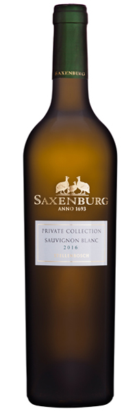 Saxenburg-Sauvignon-Blanc-2x6