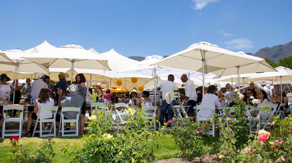 Magic of Bubbles The Méthode Cap Classique and Champagne Festival