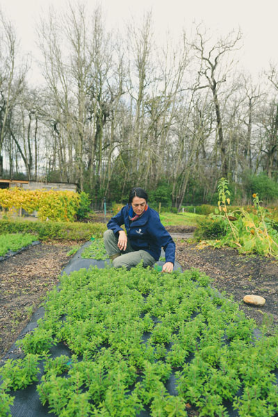 Farm To Table Cooking with Boschendal