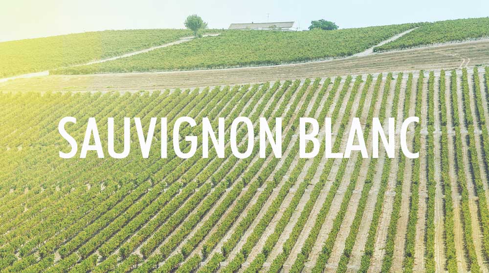 sav_blanc_1001x560