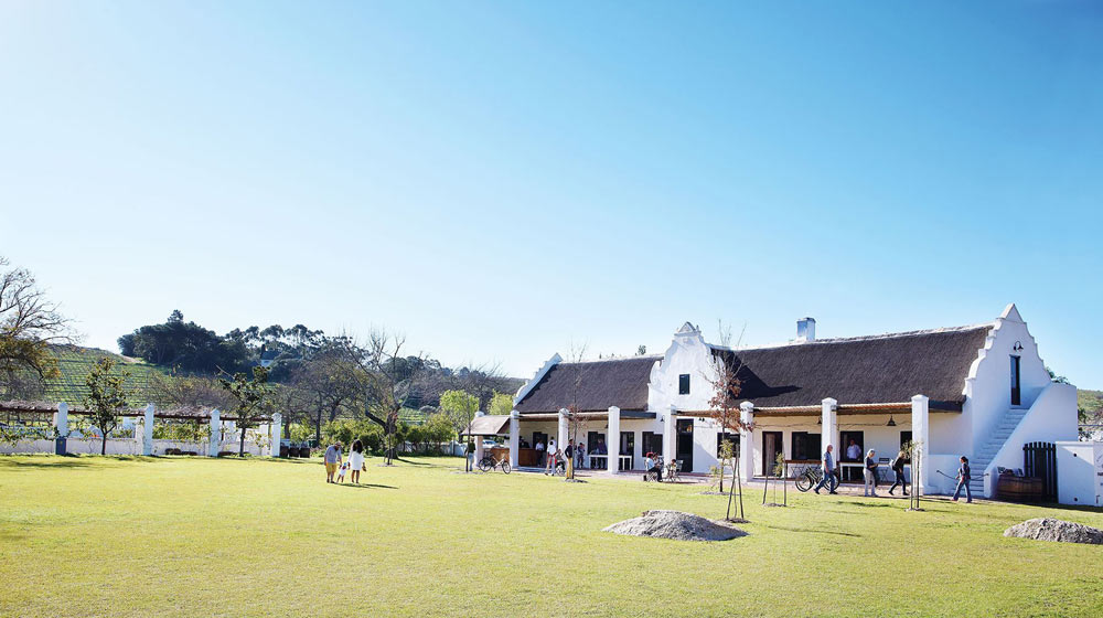 Spier-wine farm picnics