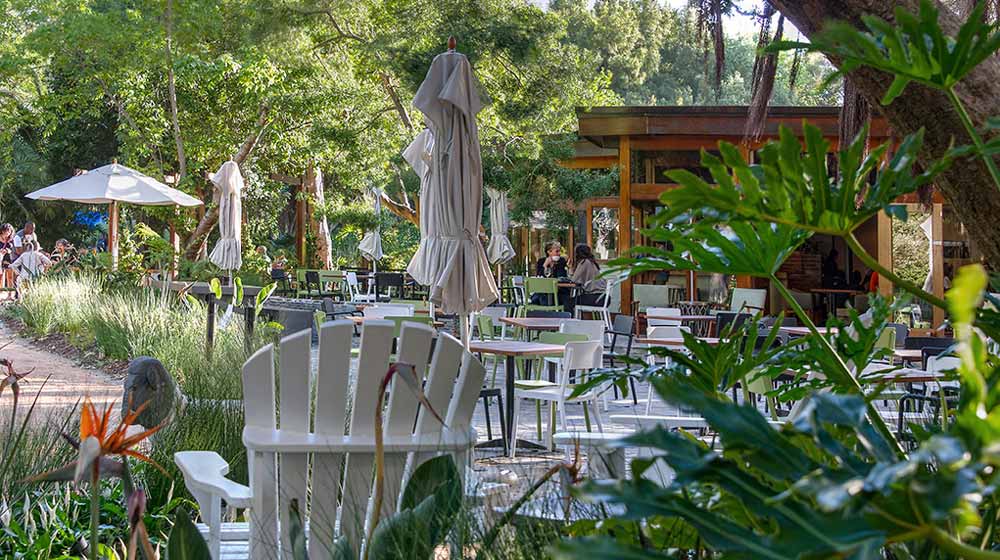 Dog-Friendly Restaurants in Cape Town